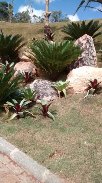 Jardim com pedra Ornamental.