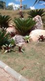 Jardim com pedra Ornamental.